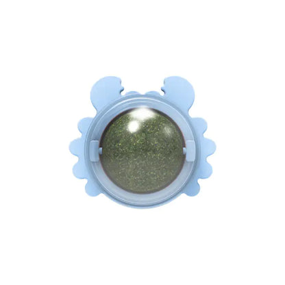 Catnip Toy Snack