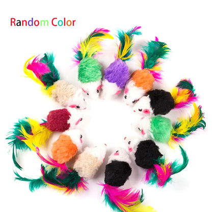Interactive Cat Toys