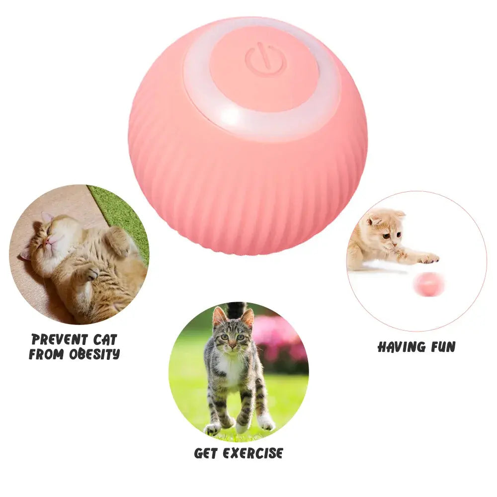 Rolling Ball Electric Cat Toy