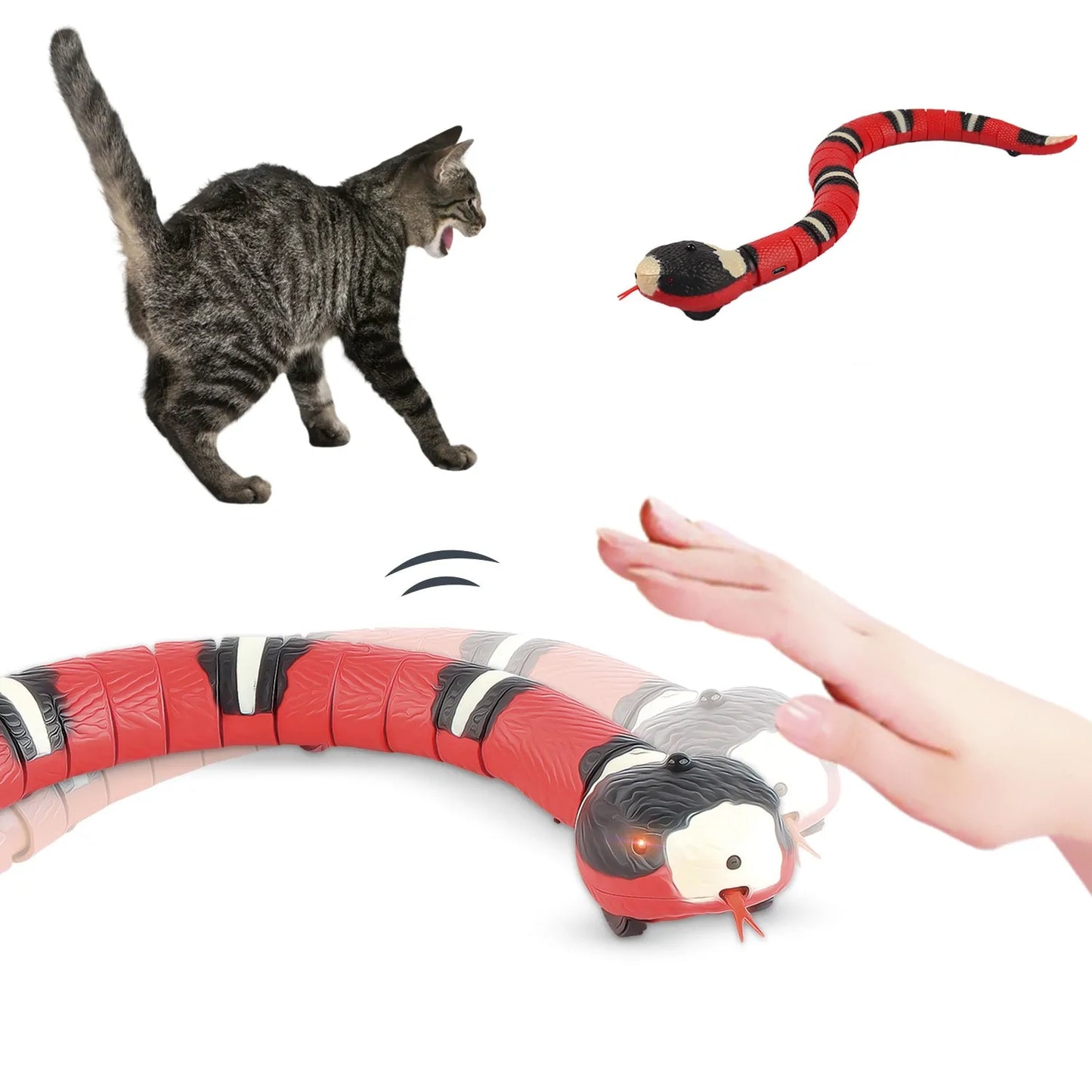 Electronic Snake Cat Toys
