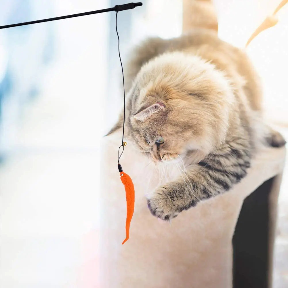 Interactive Cat Toys