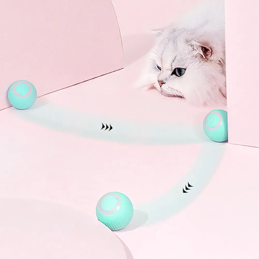 Rolling Ball Electric Cat Toy