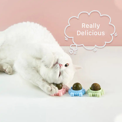 Catnip Toy Snack