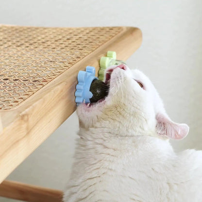 Catnip Toy Snack